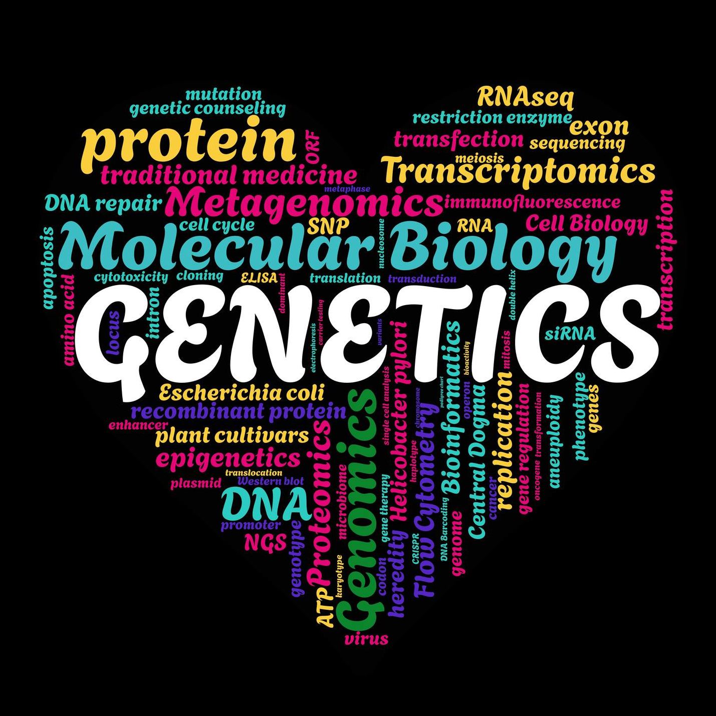 MolBioLab Logo